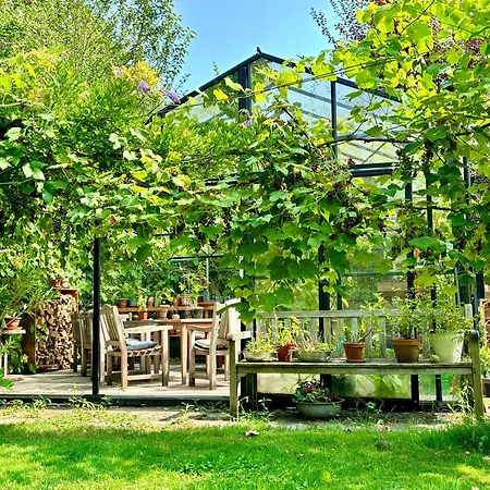 De Viking Bed & Breakfast 3*