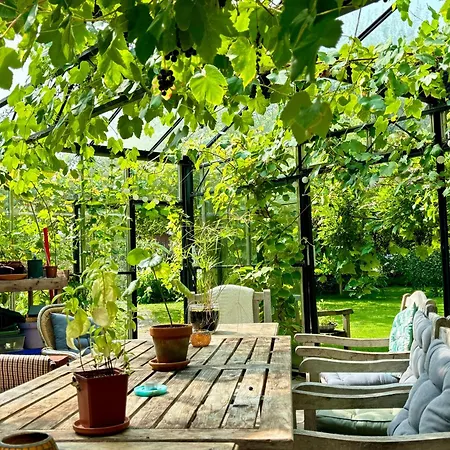 Bed & Breakfast De Viking 3*