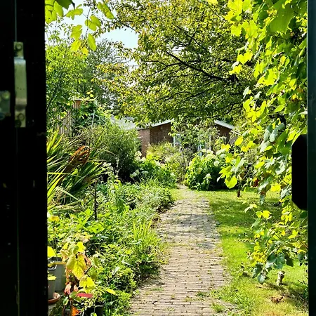 De Viking 3* Zuid-Beijerland