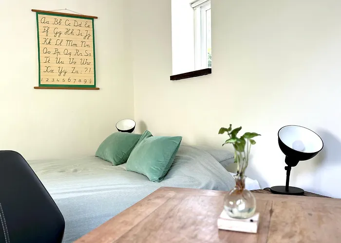 De Viking Zuid-Beijerland