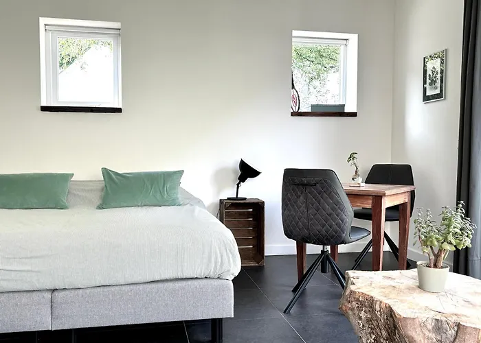 De Viking 3* Zuid-Beijerland