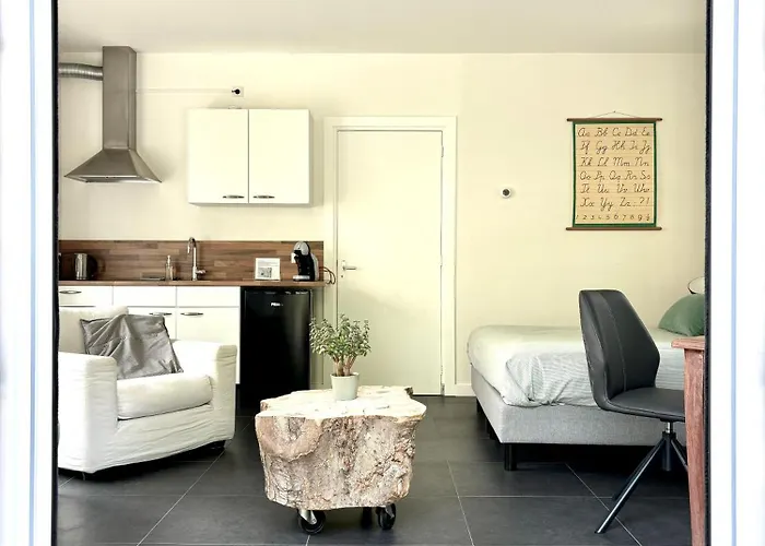 De Viking 3* Zuid-Beijerland