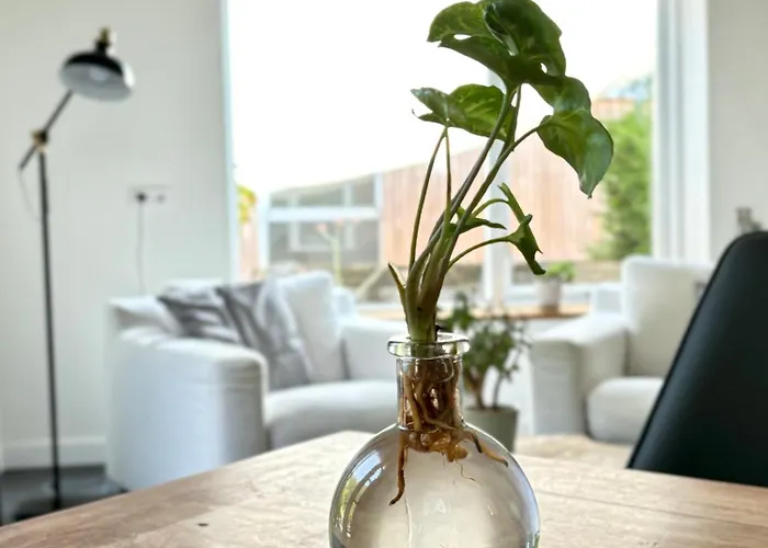 De Viking Zuid-Beijerland