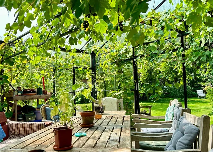 Nocleg ze śniadaniem De Viking 3*