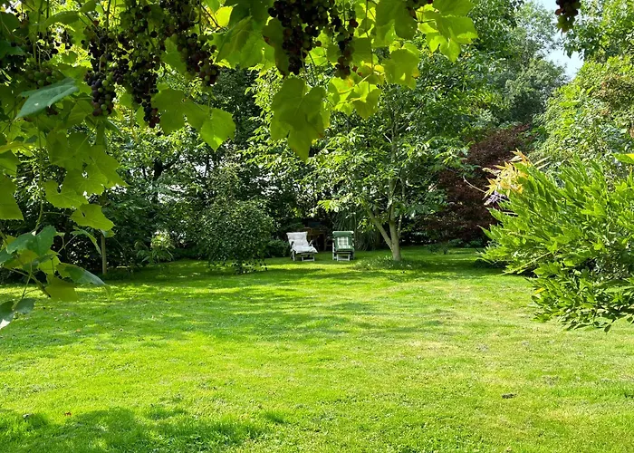 Nocleg ze śniadaniem De Viking 3*